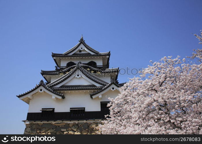 Traditional building