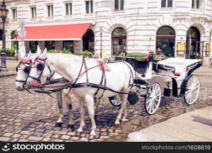 Traditional carriage of two white horses on the old street in Vienna, Austria. Traditional horse coach Fiaker in Vienna Austria