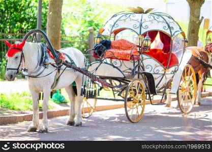 Traditional cart of horses on the old street in Europe. Traditional horse coach Fiaker in Europe