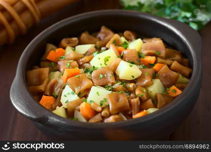 Traditional Chilean Estofado or Guiso de Cochayuyo (lat. Durvillaea antarctica), a vegan stew of bull kelp, potato, carrot and onion, served with parsley in rustic bowl, photographed with natural light (Selective Focus, Focus in the middle of the stew). Chilean Estofado or Guiso de Cochayuyo, Bull Kelp Stew