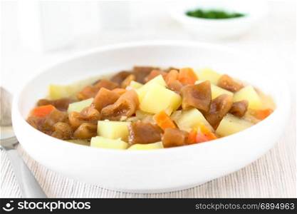 Traditional Chilean Estofado or Guiso de Cochayuyo (lat. Durvillaea antarctica), a vegan stew of bull kelp, potato, carrot and onion, served in bowl, photographed with natural light (Selective Focus, Focus in the middle of the stew). Chilean Estofado or Guiso de Cochayuyo, Bull Kelp Stew