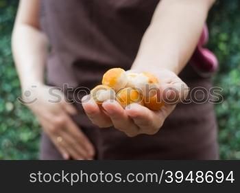 Traditional chinese yellow mini cakes on hand of baker, stock photo