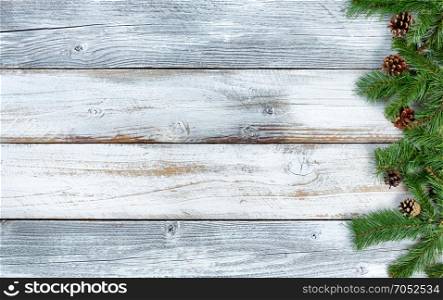 Traditional Christmas evergreen branch decorations on rustic knotty wood in flat lay format