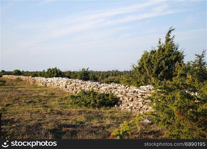 Traditional dry stone wall in the world heritage at the swedish island Oland