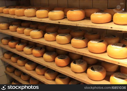 Traditional Dutch cheeses on display in a store