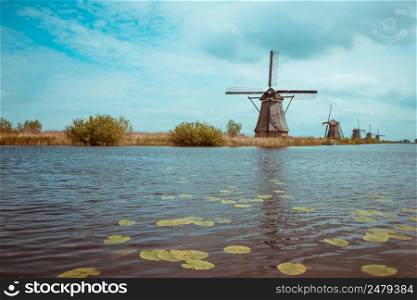 Traditional Dutch windmills in Kinderdijk near Netherlands on a canal bank with lily vintage color toned
