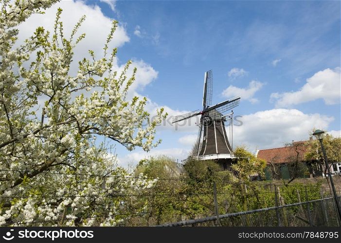 Traditional Dutch wooden windmill in a farm scenery