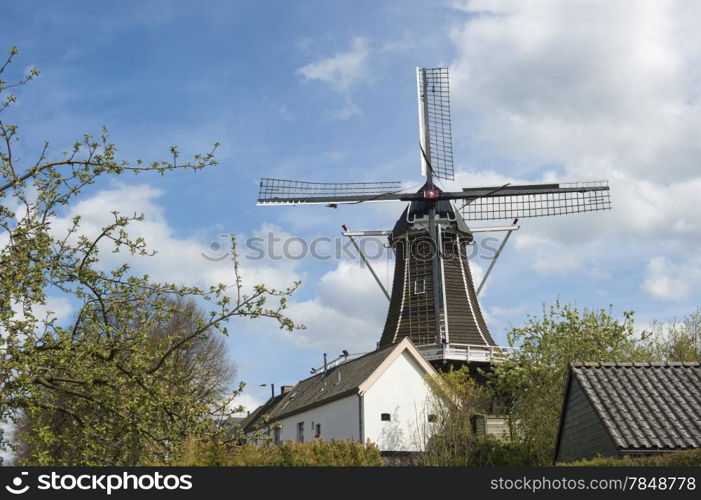 Traditional Dutch wooden windmill in an urban scenery