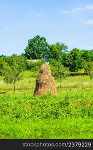 Traditional eastern european haystacks on field