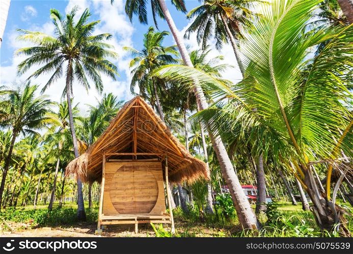 Traditional fishing village in Palawan island, Philippines