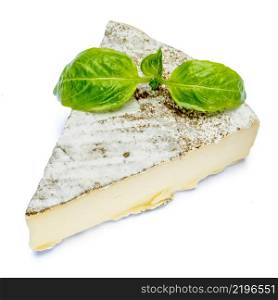 traditional french brie cheese and basil isolated on a white background. Clipping path. traditional french brie cheese and basil on a white background. Clipping path