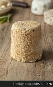 Traditional french goats cheese called chevre chabichou