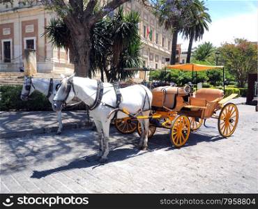 Traditional horse and carriage waiting for tourists
