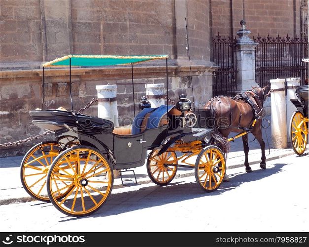 Traditional horse and carriage waiting for tourists