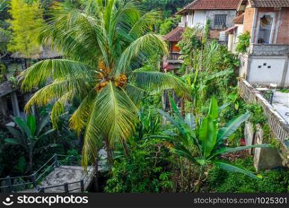 Traditional houses in jungle, Ubud, Bali, Indonesia. Houses in jungle, Ubud, Bali, Indonesia