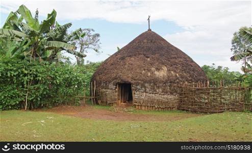 Traditional houses of Sidama people, Ethiopia, Africa