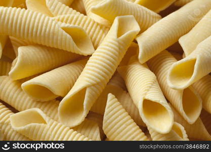 Traditional Italian handmade garganelli pasta full frame,