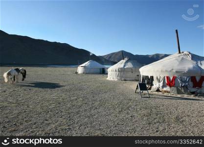 traditional mongolian yurt in sunset