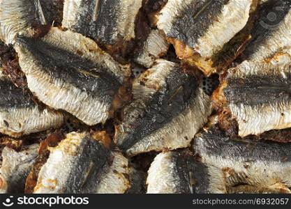 Traditional Moroccan stuffed and fried sardines full frame