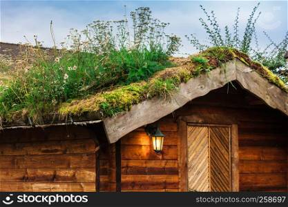 traditional Norwegian houses with a turf roof.