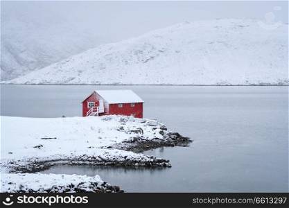 Traditional red rorbu house on fjord shore with heavy snow in winter. Lofoten islands, Norway. Red rorbu house in winter, Lofoten islands, Norway
