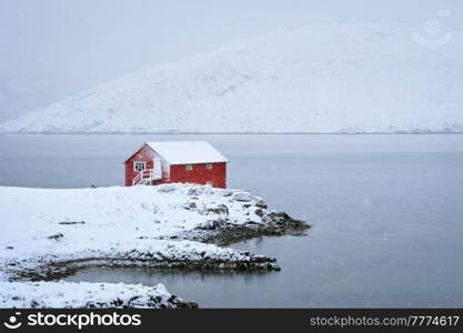 Traditional red rorbu house on fjord shore with heavy snow in winter. Lofoten islands, Norway. Red rorbu house in winter, Lofoten islands, Norway