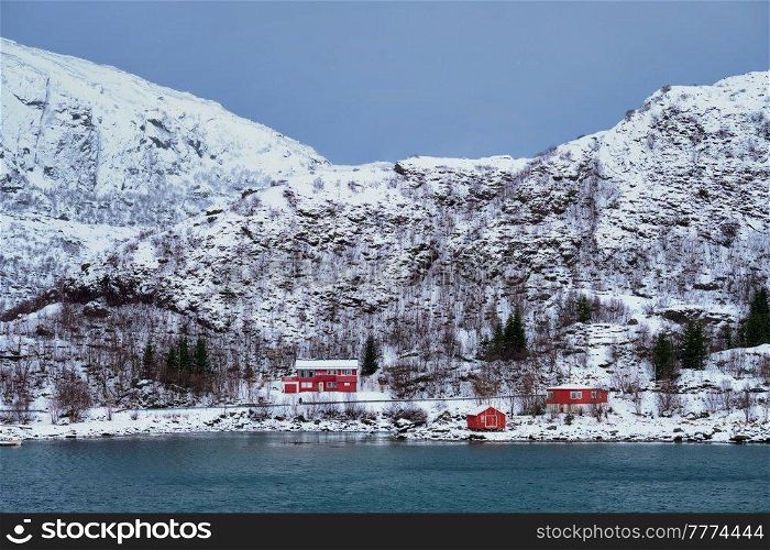 Traditional red rorbu houses on fjord shore in snow in winter. Lofoten islands, Norway. Red rorbu houses in Norway in winter