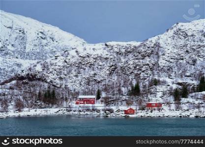 Traditional red rorbu houses on fjord shore in snow in winter. Lofoten islands, Norway. Red rorbu houses in Norway in winter