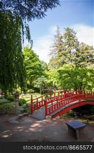 Traditional red wooden bridge on a japanese garden pond. Zen background. Traditional red wooden bridge on a japanese garden pond