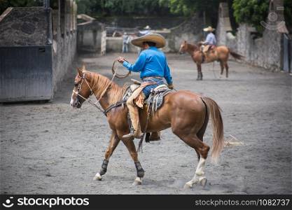 Traditional Rodeo Show in Mexico City.