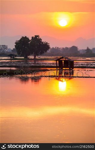 Traditional rural landscape with huts among rice paddy fields after harvest at sunset, mountains and forest in the backgrounds. Winter scene in North Thailand. Silhouette.