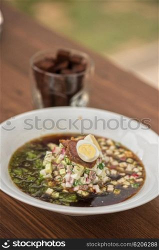 Traditional Russian kvass soup okroshka. Traditional Russian kvass soup with vegetables - okroshka