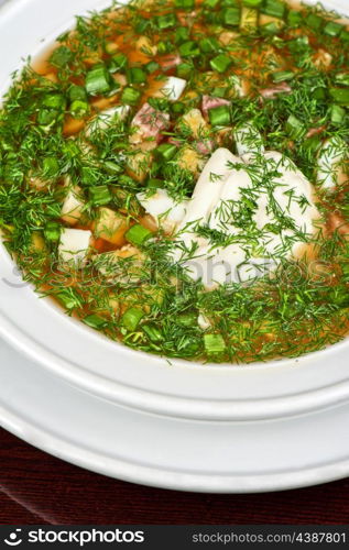 Traditional Russian kvass soup with vegetables - okroshka