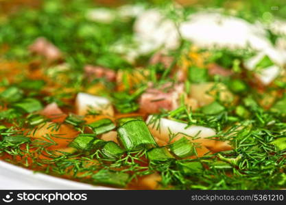 Traditional Russian kvass soup with vegetables - okroshka