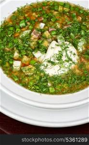 Traditional Russian kvass soup with vegetables - okroshka