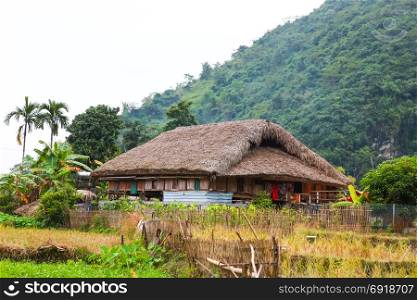 Traditional stilted house this charming home stay belongs to a local Tay family