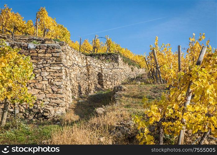 Traditional stonewall in the vinyards near Durnstein, Wachau, Austria