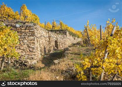 Traditional stonewall in the vinyards near Durnstein, Wachau, Austria