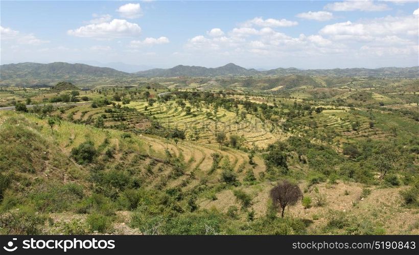 Traditional terraced fields of Konso people, Ethiopia, Africa