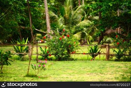 traditional thai nature, green grass and flowers