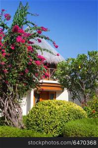 Traditional tropical hut in a garden