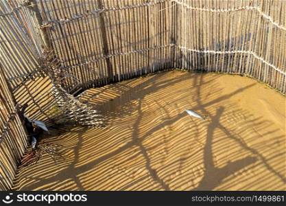 Traditional Tsonga fish trap built in the Kosi Bay estuary, Tongaland, South Africa