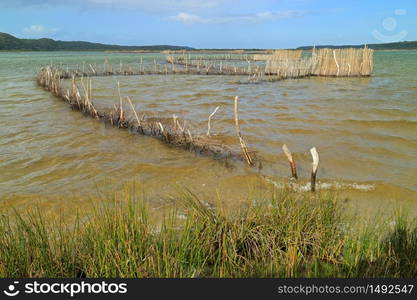 Traditional Tsonga fish traps built in the Kosi Bay estuary, Tongaland, South Africa