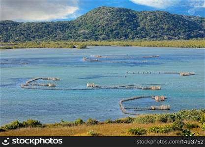 Traditional Tsonga fish traps built in the Kosi Bay estuary, Tongaland, South Africa