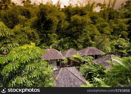 Traditional village in the Bamboo Forest of Bali