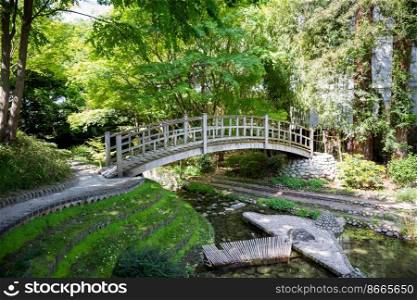 Traditional wooden bridge on a japanese garden pond. Zen background. Traditional wooden bridge on a japanese garden pond