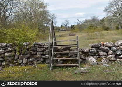 Traditional wooden stile crossing an old dry stone wall in spring season at the swedish island Oland
