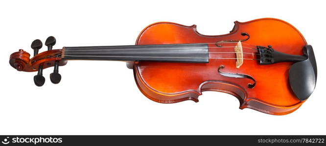 traditional wooden violin isolated on white background