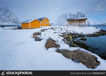 Traditional yellow rorbu house in drying flakes for stockfish cod fish in norwegian fjord in winter. Sakrisoy fishing village, Lofoten islands, Norway. Rorbu house and drying flakes for stockfish cod fish in winter. Lofoten islands, Norway