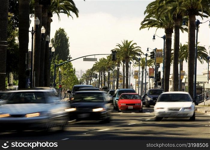 Traffic on a street in a city, San Francisco, California, USA